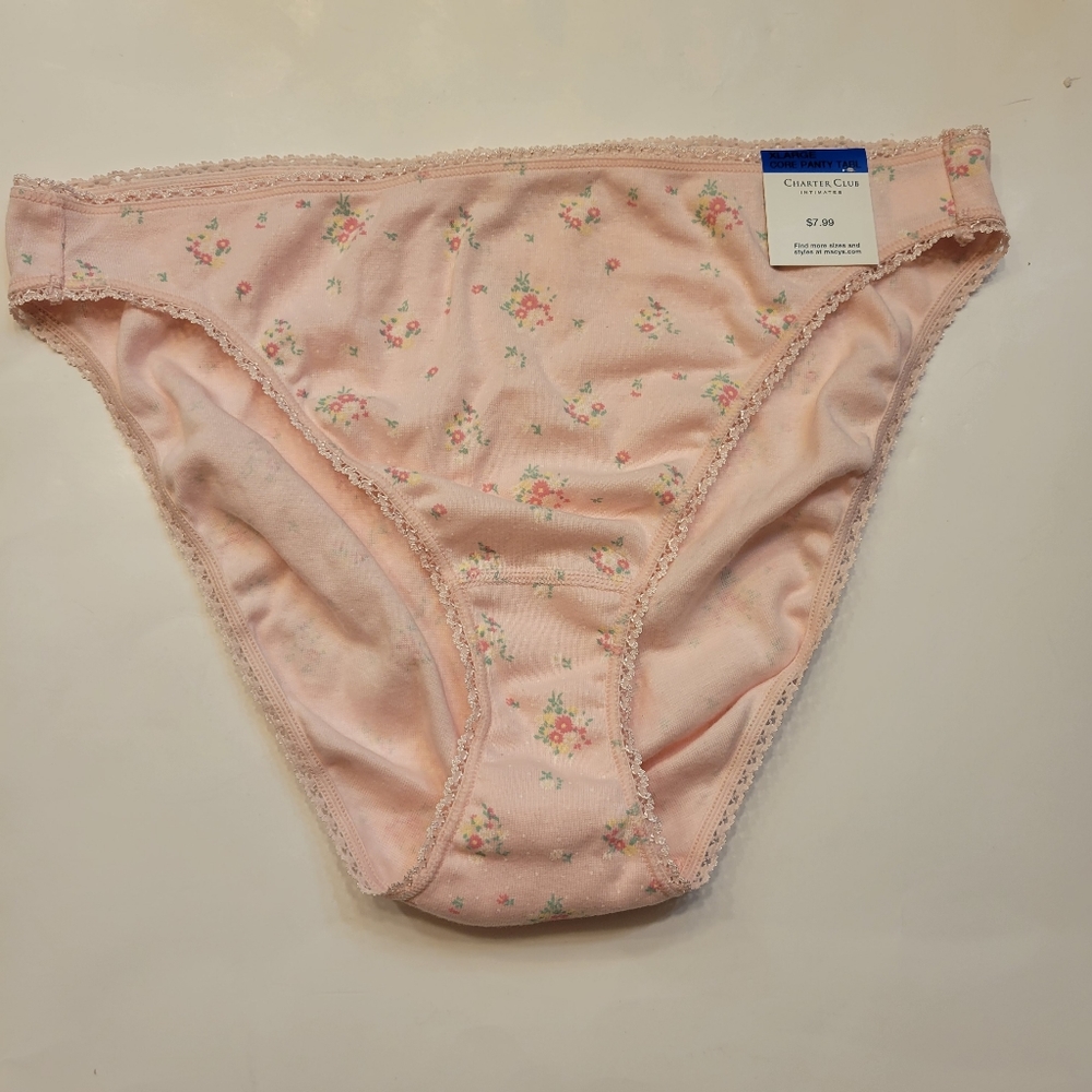 Charter Club Everyday Cotton Bikini Underwear Pink Mini Bouquets XL 2XL